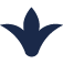 BASELINE mark